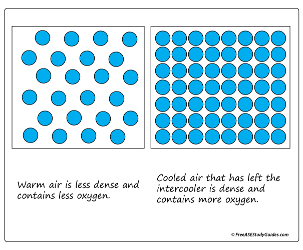 Cool air contains more oxygen molecules than warm air does.