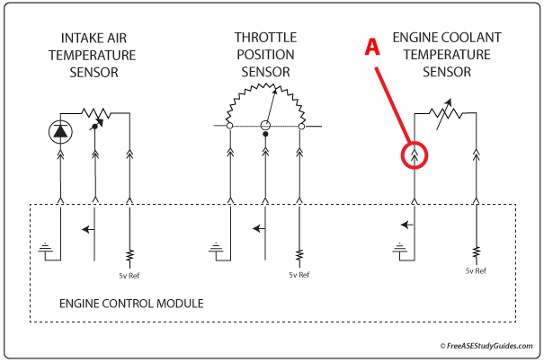 Diagram of automotive ECM engine control system.
