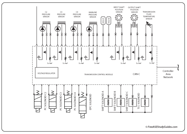 The transmission control module external and internal transmission sensors and solenoids.