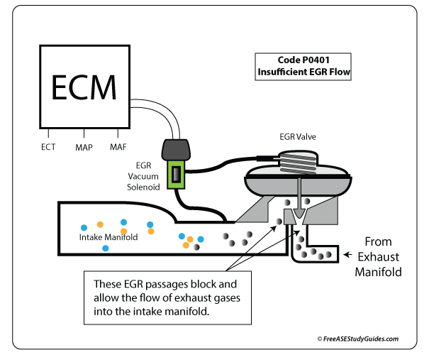 EGR Valve's Function and Cleaning