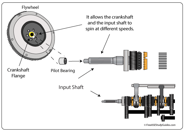 Clutch pilot bearing location and function.