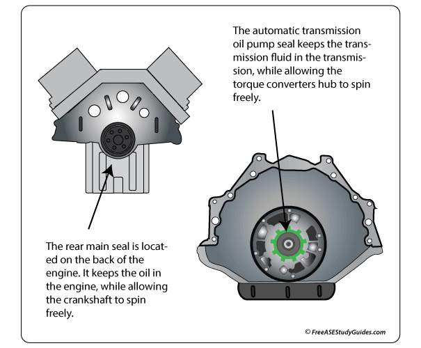 Oil Pump or Rear Main Seal Leak