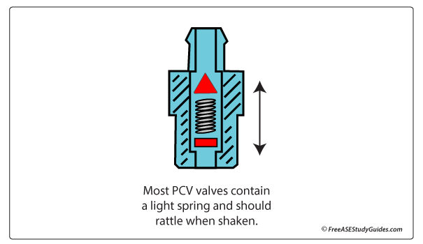 A PCV valve should rattle when shaken.