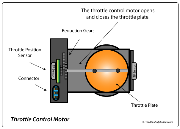 Throttle control motor cutaway.