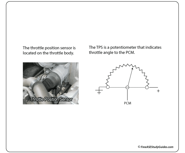 The Throttle Position (TP) sensor.