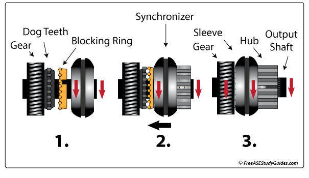 A synchronizer.